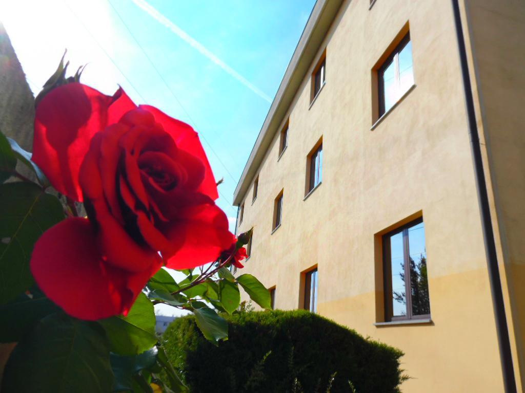 Hotel Majestic San Giuliano Milanese Buitenkant foto